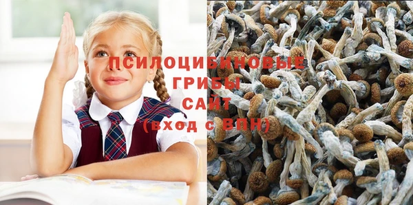 прущий лед Приозерск