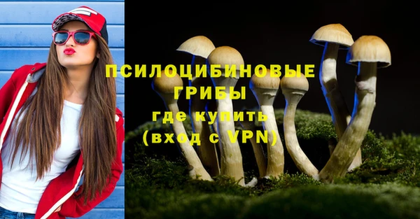 меф Жердевка