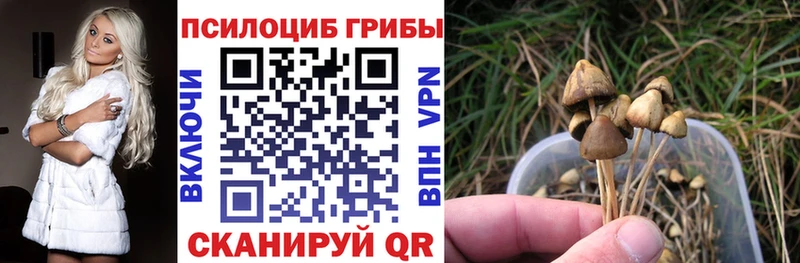 цены наркотик  Остров  Псилоцибиновые грибы Magic Shrooms 